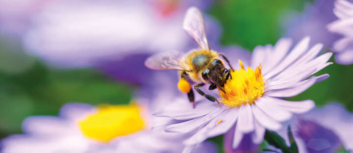 Gartenbedarf 1700x740